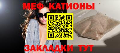шишки Брянск