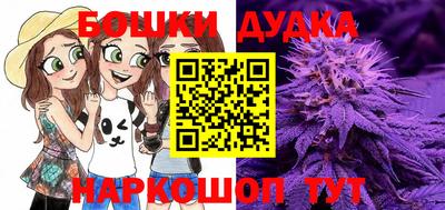 jwh Боровичи