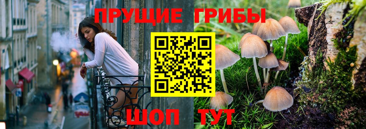 Галлюциногенные грибы GOLDEN TEACHER Артёмовский